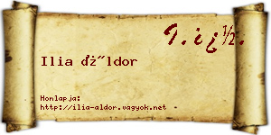 Ilia Áldor névjegykártya